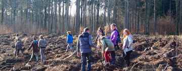 OSP Stojkowo zorganizowało akcję sadzenia lasu
