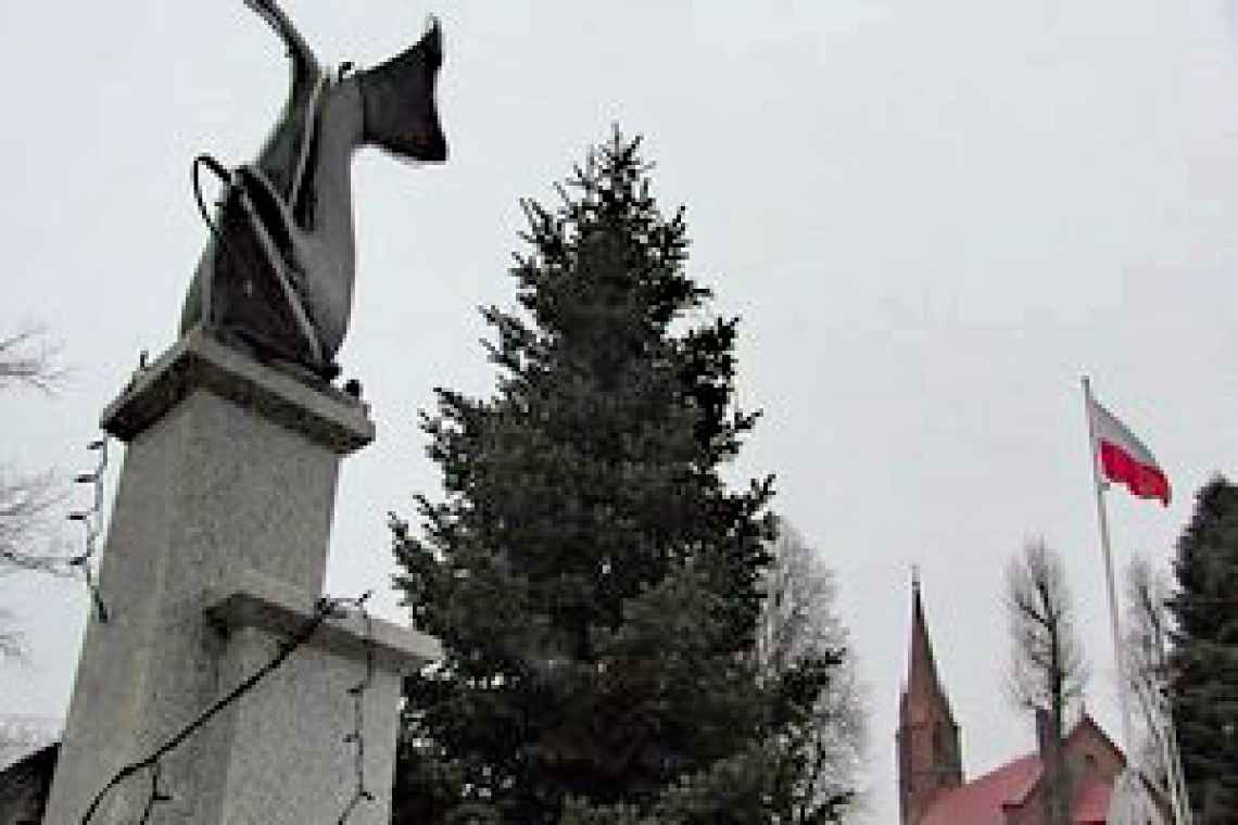 W niedzielę włączenie iluminacji świątecznej w Dygowie!