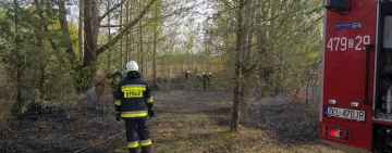 Interwencja strażaków z Czernina i Dygowa w Bogucinie