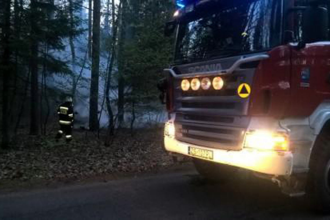 Strażacy z Dygowa zadysponowani do pożaru terenów leśnych