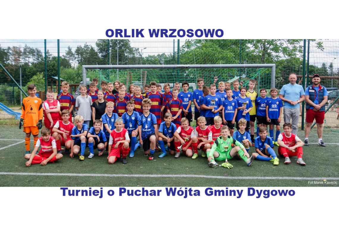 Młodzi piłkarze rywalizowali na orliku we Wrzosowie